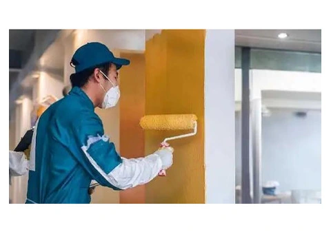 Ugly Scuffs Shaming Your Property? Repaint Now - 3/4