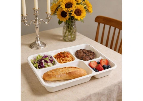 Paper Plates in Bulk for Every Event and Occasion