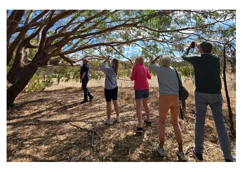 Barossa Valley Wine Tours