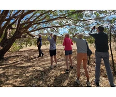 Barossa Valley Wine Tours