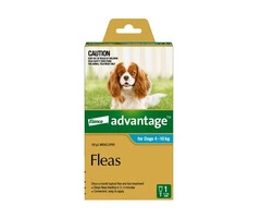 Advantage For Medium Dogs 4 To 10Kg
