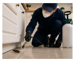 Trusted Cockroach Control in Sydney for Lasting Results