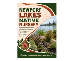 Newport Lakes Native Nursery – Quality Native Plants in Newport
