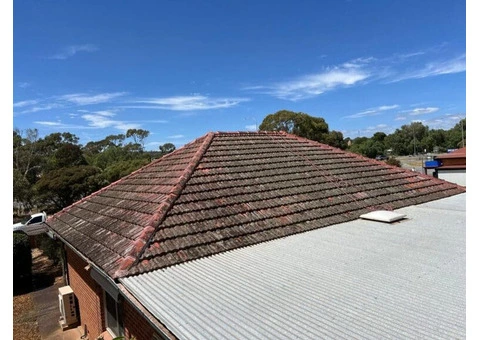 Emergency Roof Repair Cost Explained: Save Time, Money, and Stress