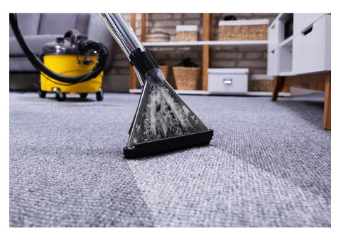 Reliable Local Carpet Cleaning Services Near Me | Ezydry