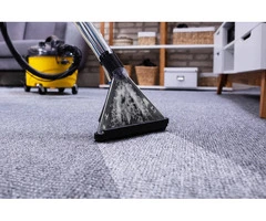 Reliable Local Carpet Cleaning Services Near Me | Ezydry