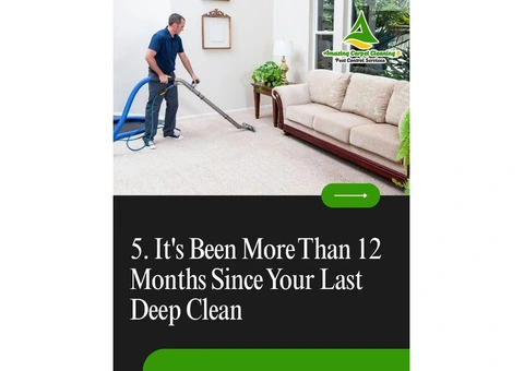 Carpet Cleaning Experts in North Brisbane | Best Carpet Cleaning Services in North Brisbane