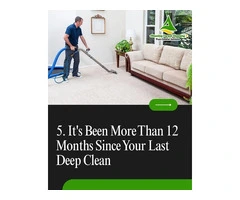Carpet Cleaning Experts in North Brisbane | Best Carpet Cleaning Services in North Brisbane