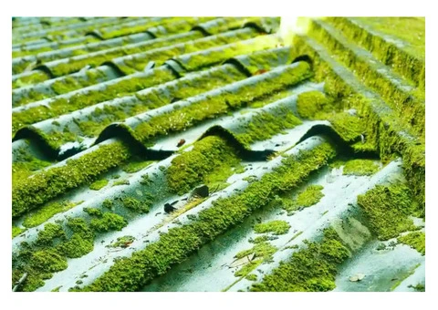 Roof Cleaning Adelaide
