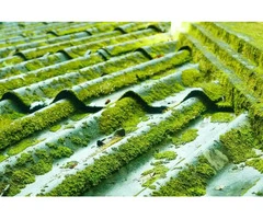 Roof Cleaning Adelaide