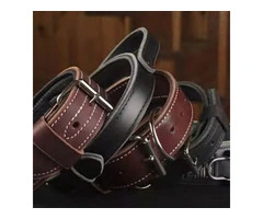 Buy ray allen dog collar