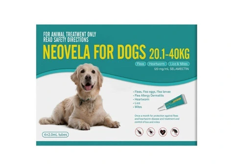 Neovela (Selamectin) Flea and Worming For Dogs 20 - 40 Kg