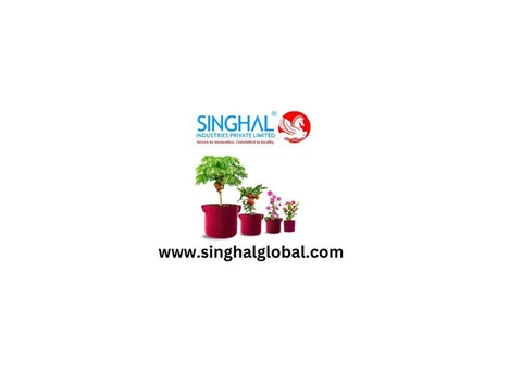 Create Ideal Conditions for Vigorous Seedlings