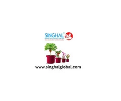 Create Ideal Conditions for Vigorous Seedlings