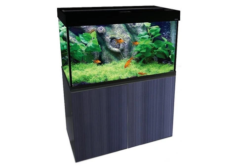 Oasis Aquariums: Your Trusted Partner for Quality Aquarium Solutions