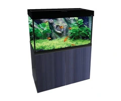Oasis Aquariums: Your Trusted Partner for Quality Aquarium Solutions