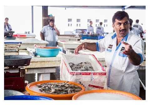 Reliable Seafood Logistics Melbourne for Fresh & Temperature-Controlled Transport