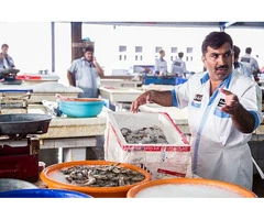 Reliable Seafood Logistics Melbourne for Fresh & Temperature-Controlled Transport