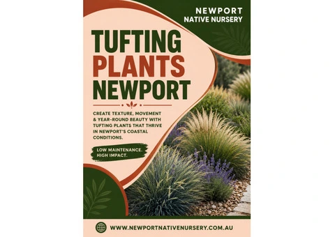 Best Tufting Plants Newport for Modern Garden Designs