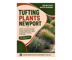 Best Tufting Plants Newport for Modern Garden Designs