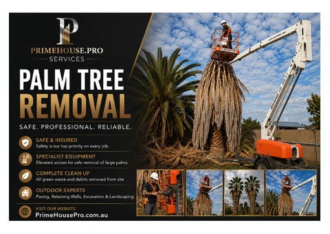 Patio Paving Adelaide Australia – Quality Outdoor Paving by Prime House Pro
