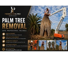 Patio Paving Adelaide Australia – Quality Outdoor Paving by Prime House Pro