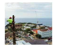 Tree Pruning Sydney
