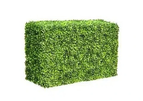 Get Low-Maintenance Privacy with an Artificial Plant Hedge