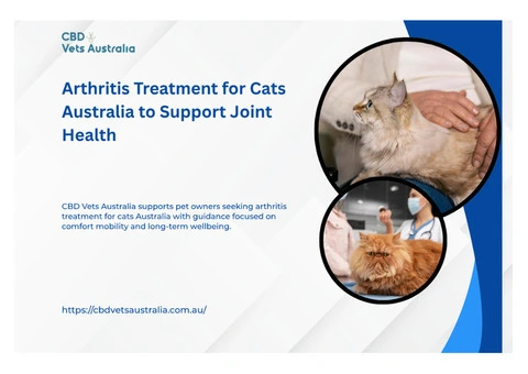 Arthritis Treatment for Cats Australia to Support Joint Health
