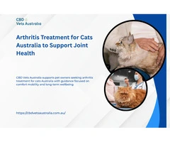 Arthritis Treatment for Cats Australia to Support Joint Health