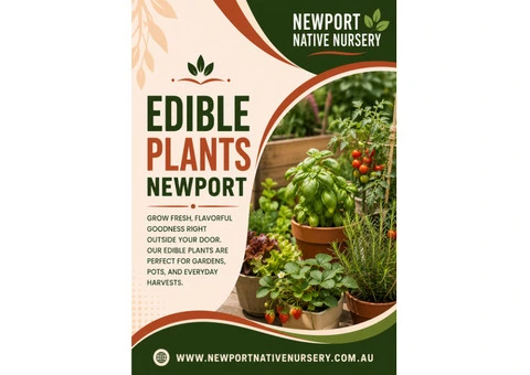 Best Edible Plants in Newport for Home Gardens