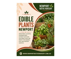 Best Edible Plants in Newport for Home Gardens