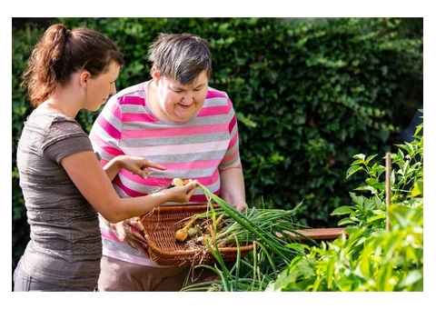 Trusted NDIS Service Provider in Parramatta, 02 9051 1000 | Betterinhomecare