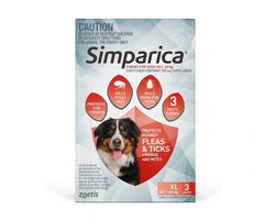 Simparica Chewables 120MG for XLarge Dogs