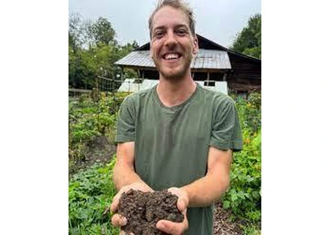 Organic Liquid Fertiliser for Healthier Australian Gardens | Soil Dynamics