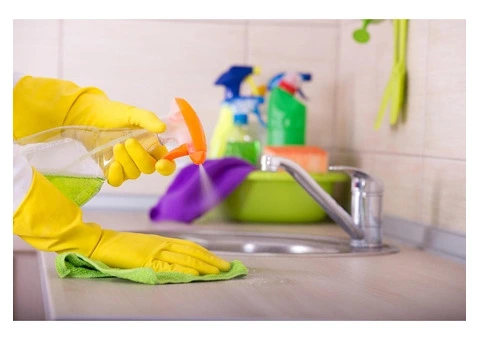 Refresh Your Carpets with Steam Cleaning