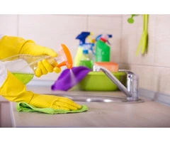 Refresh Your Carpets with Steam Cleaning