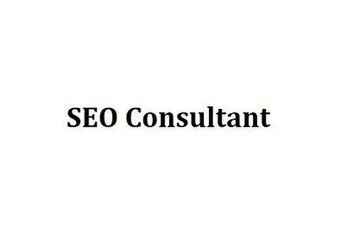 SEO Consultant