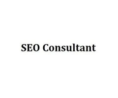 SEO Consultant