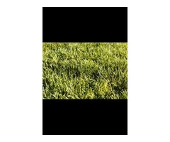 Best Synthetic Grass Prices Perth for Every Budget