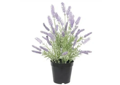Vibrant and Lasting Artificial Plants and Flowers