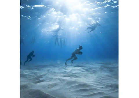 Ocean Trips