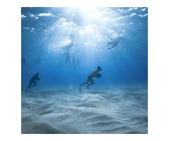 Ocean Trips