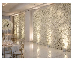 Hire a Flower Wall in Melbourne to Create a Stunning Event