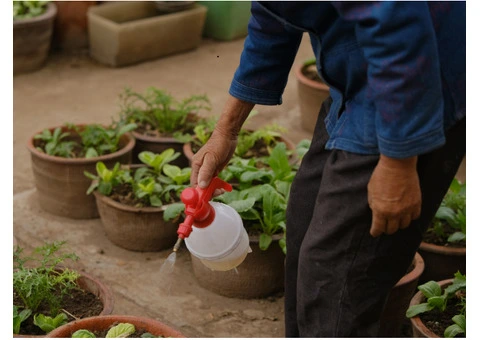 Slow Release Organic Fertiliser – Long-Lasting Soil Nutrition