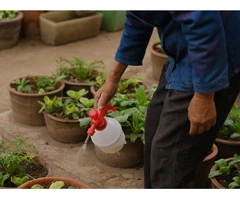 Slow Release Organic Fertiliser – Long-Lasting Soil Nutrition