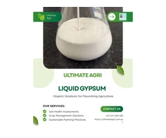 Liquid gypsum