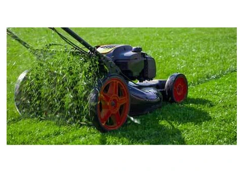 Lawn Care Service Canberra for a Healthy, Green & Well-Maintained Lawn
