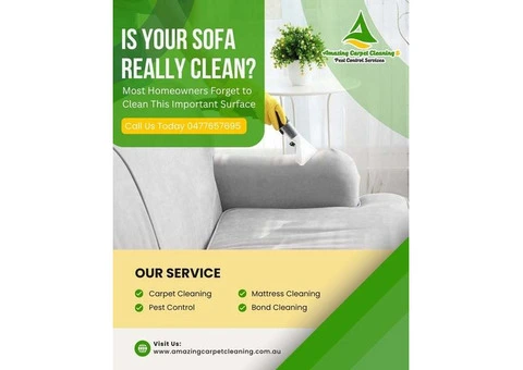 Affordable Carpet Cleaning Experts in North Brisbane You Can Trust
