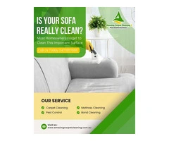 Affordable Carpet Cleaning Experts in North Brisbane You Can Trust